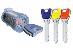 ディンプリキー（オプナス）